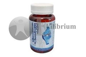 Glucosamin Chondroitin MSM