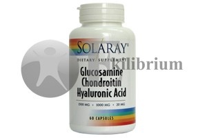 Glucosamine Chondroitin Hyaluronic Acid