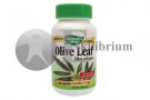 Olive Leaf - Extract din frunze de Maslin
