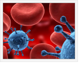 imunoglobuline_si_anticorpi
