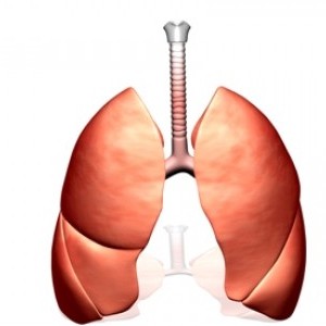 Angeitele pulmonare alergice