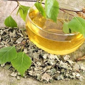 Ceaiul  de mesteacan, un ceai anticancer 