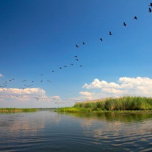 Dezastrul ecologic din Ungaria: Dunarea romaneasca nu va fi poluata